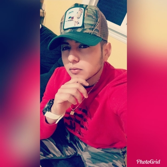 Meet your Posher, Noel - Picture 1 of 1